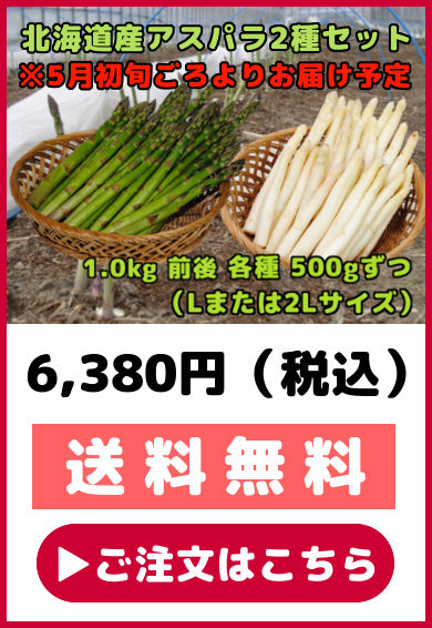 木曜発送午前着 うっち 2L ホワイトアスパラ2kg ホワイトアスパラガス 2kg 前後 北海道産 Lまたは2Lサイズ お