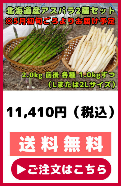 北海道産 アスパラガス 2種セット 2kg 前後 Lまたは2Lサイズ 各1kg ずつ
