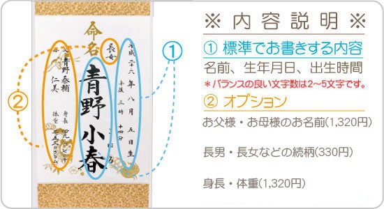 命名軸・中 ドンス表具仕立て・サンプル