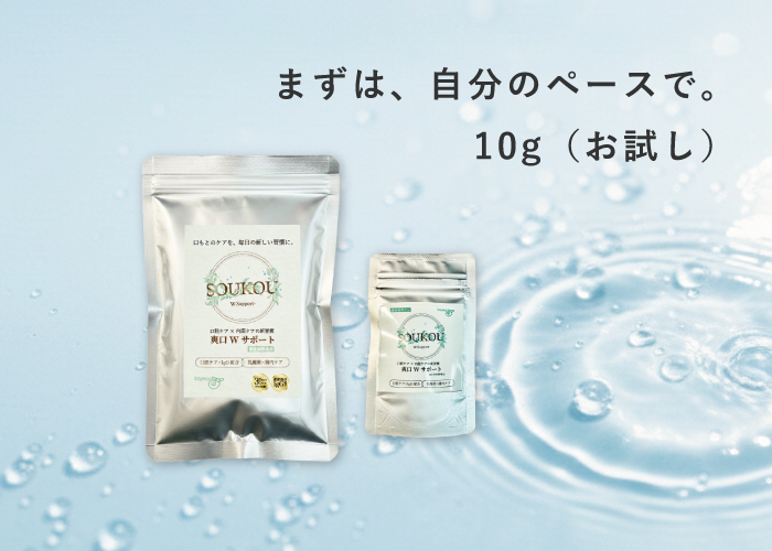 爽口Wサポート10ｇ