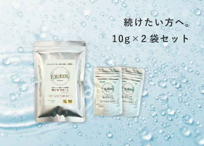 爽口Wサポート10gx2袋