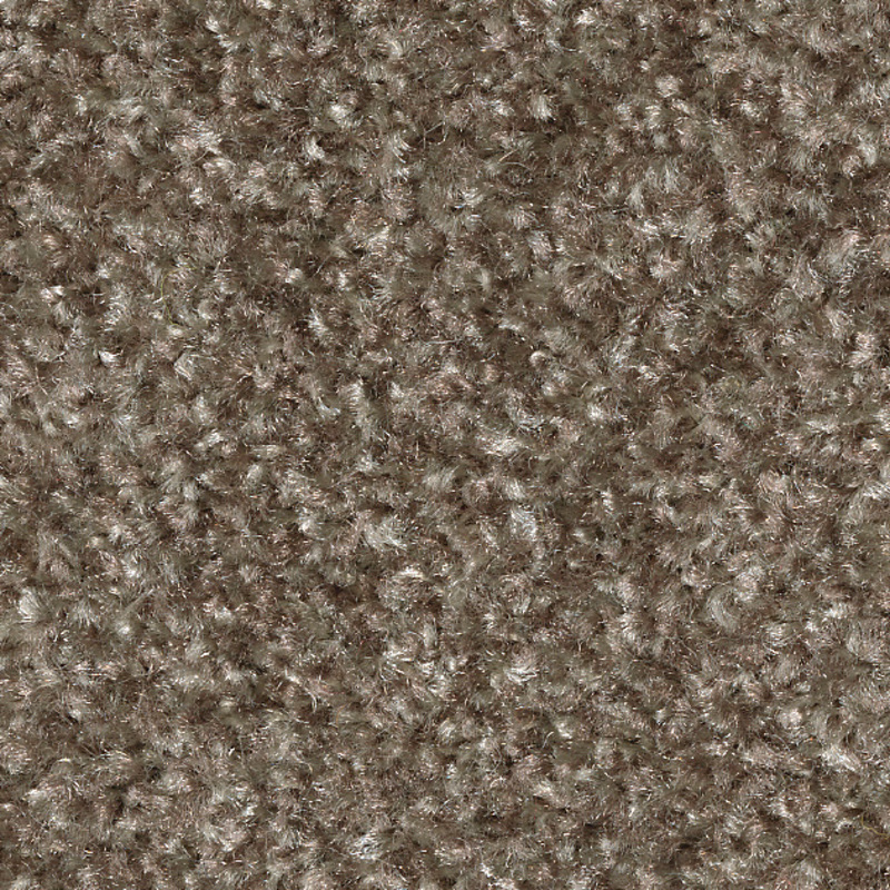 サンゲツ（SANGETSU） 【枚売り】 ペット対応 住宅用タイルカーペット