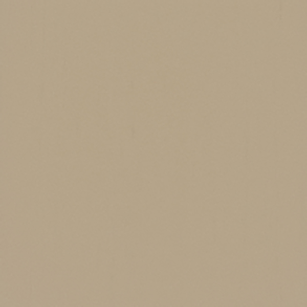 東リ（TOLI） コンポジションビニル床タイル マチコV（303mm×303mm