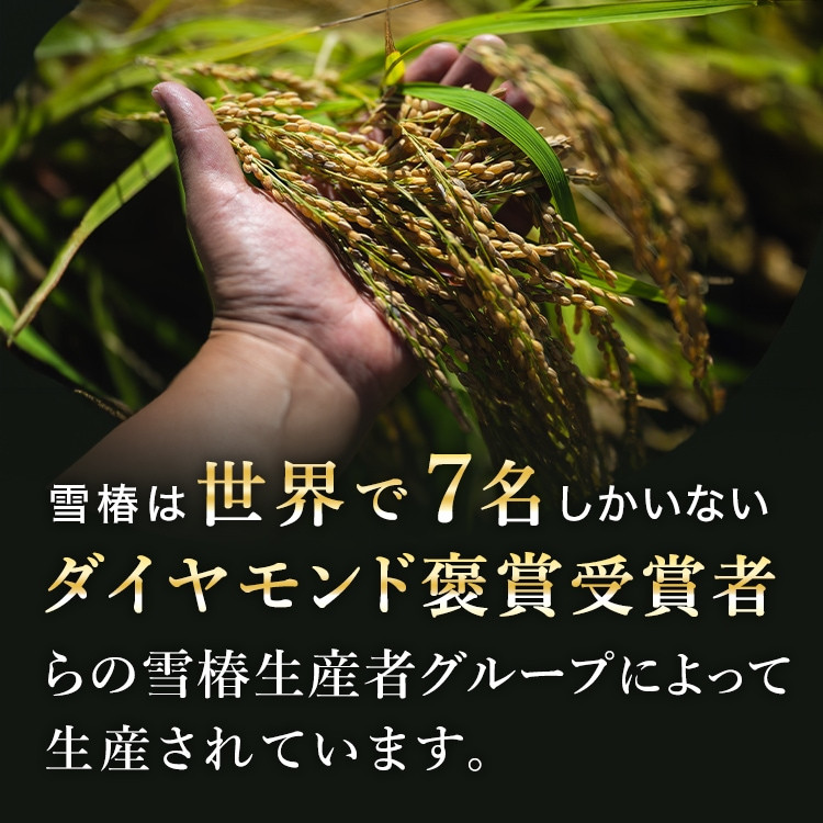 越後雪椿産業株式会社 - Yahoo!ショッピング
