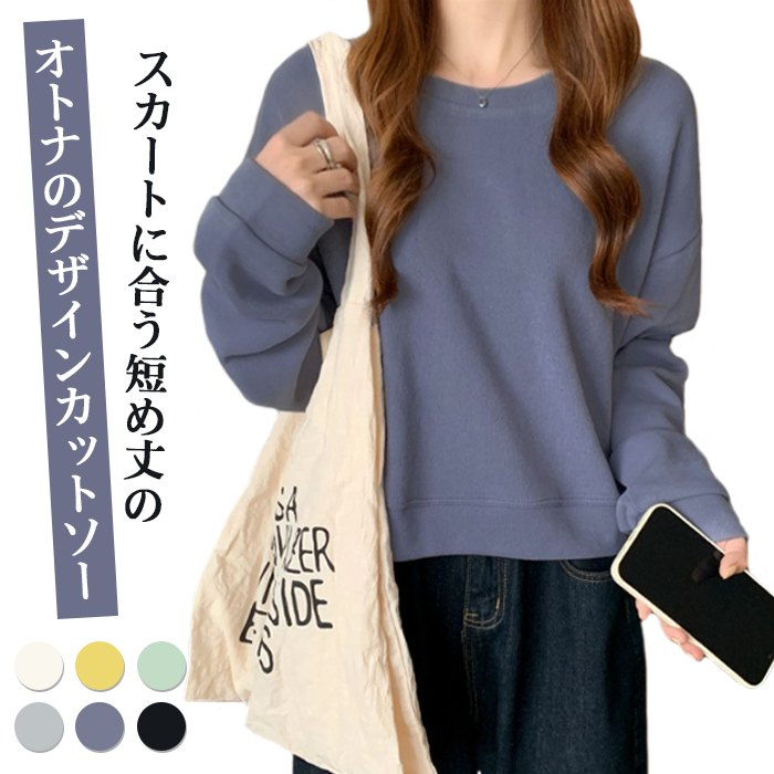 バックプリーツチュニック丈プルオーバー(カットソー・Tシャツ