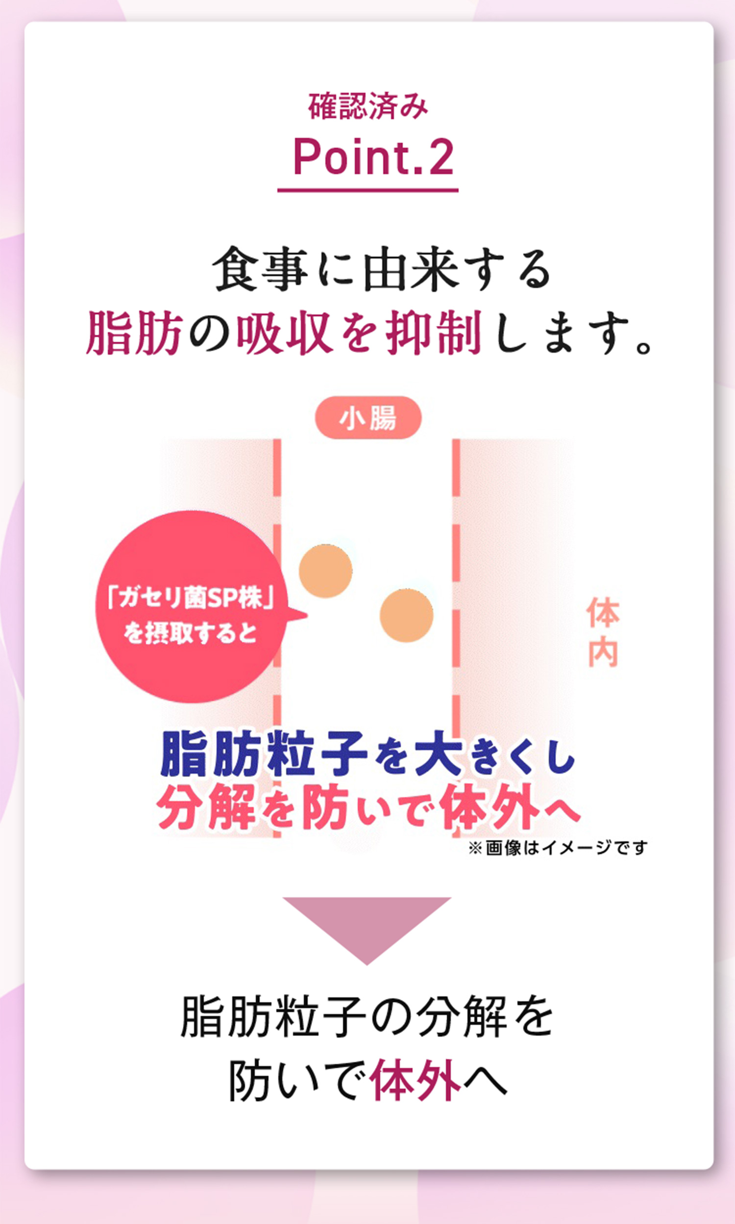 食事に由来する脂肪の吸収を抑制します。