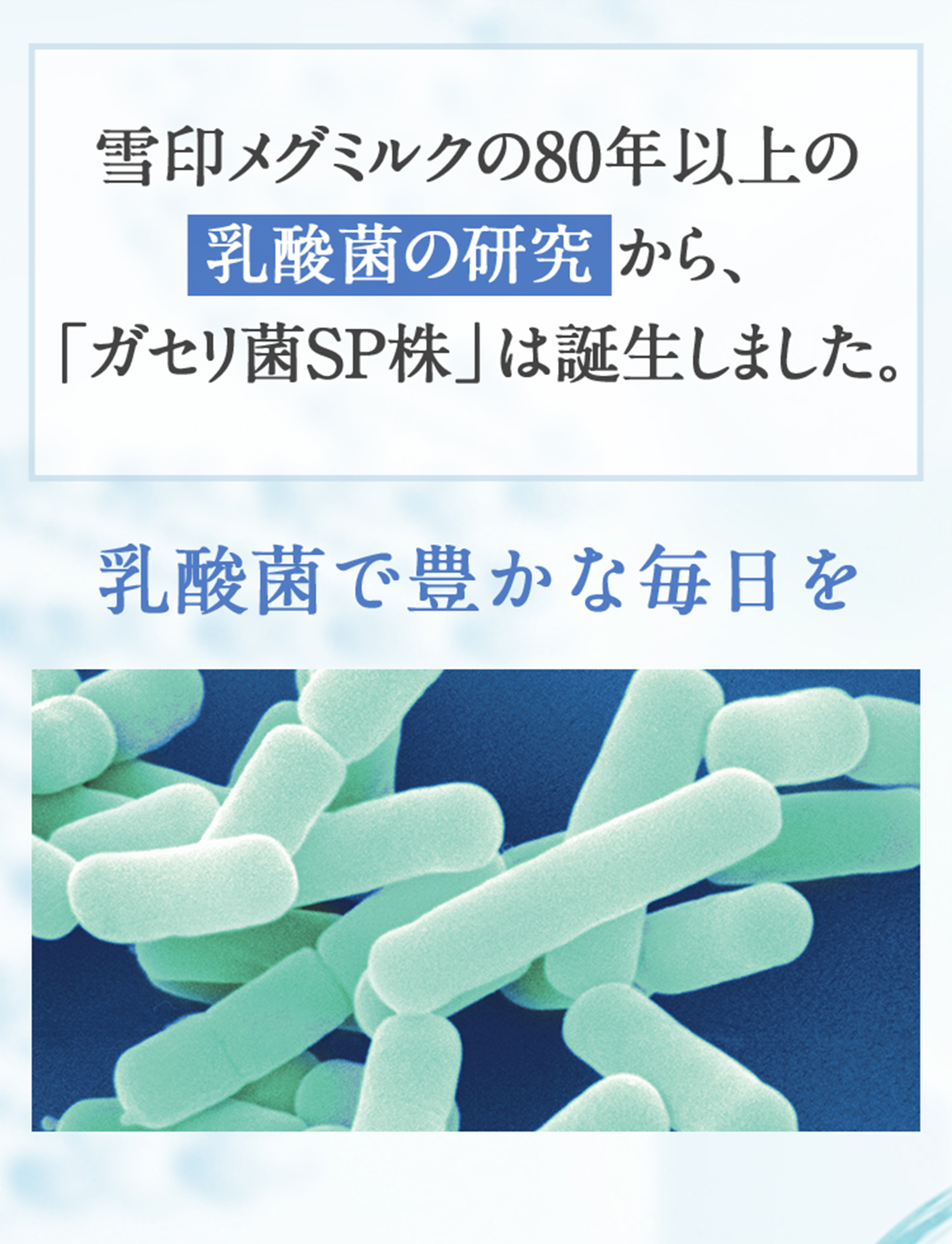 雪印メグミルクの80年以上の乳酸菌の研究から、「ガセリ菌SP株」は誕生しました。