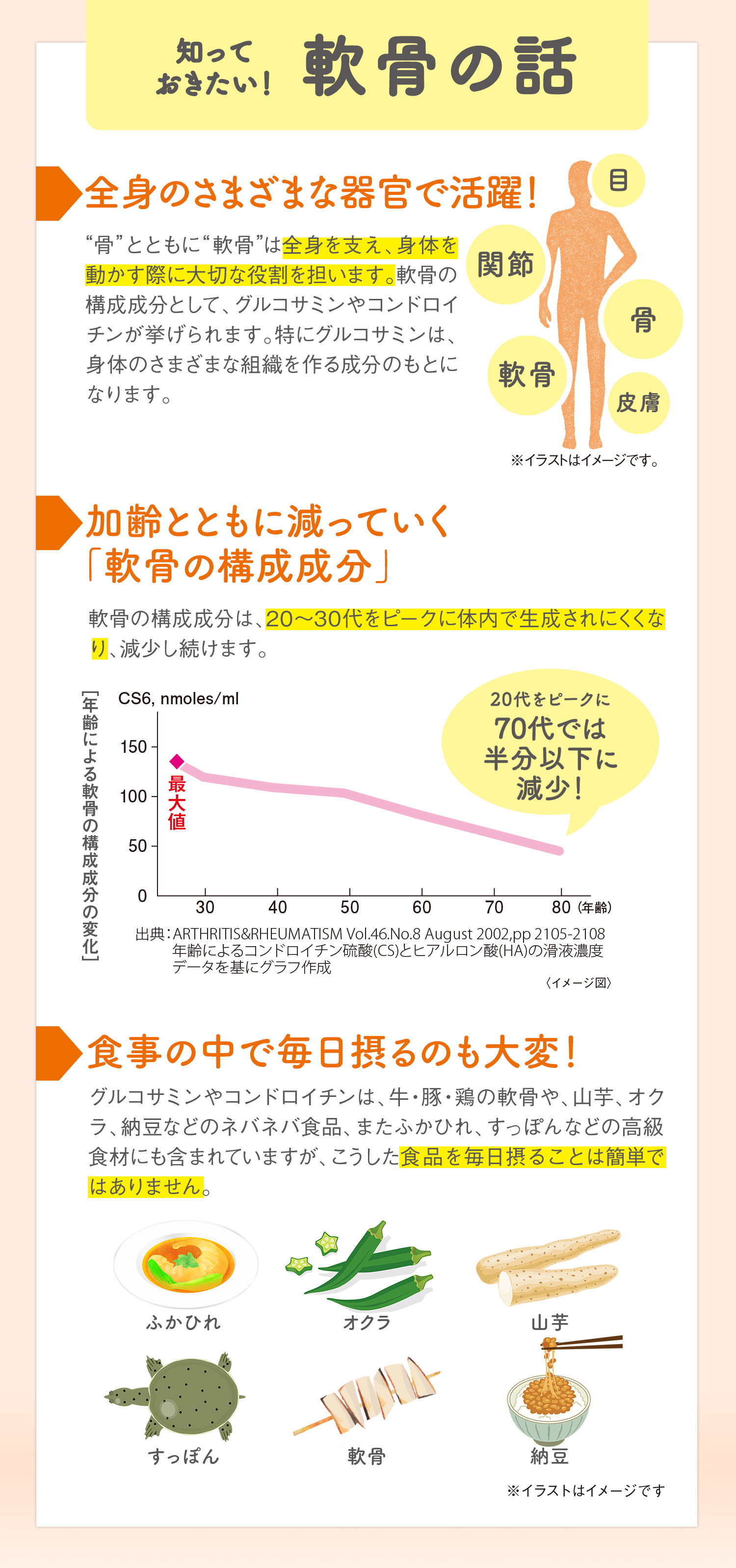 知っておきたい！軟骨の話。全身のさまざまな器官で活躍！加齢とともに減っていく「軟骨の構成成分」食事の中で毎日摂るのも大変！