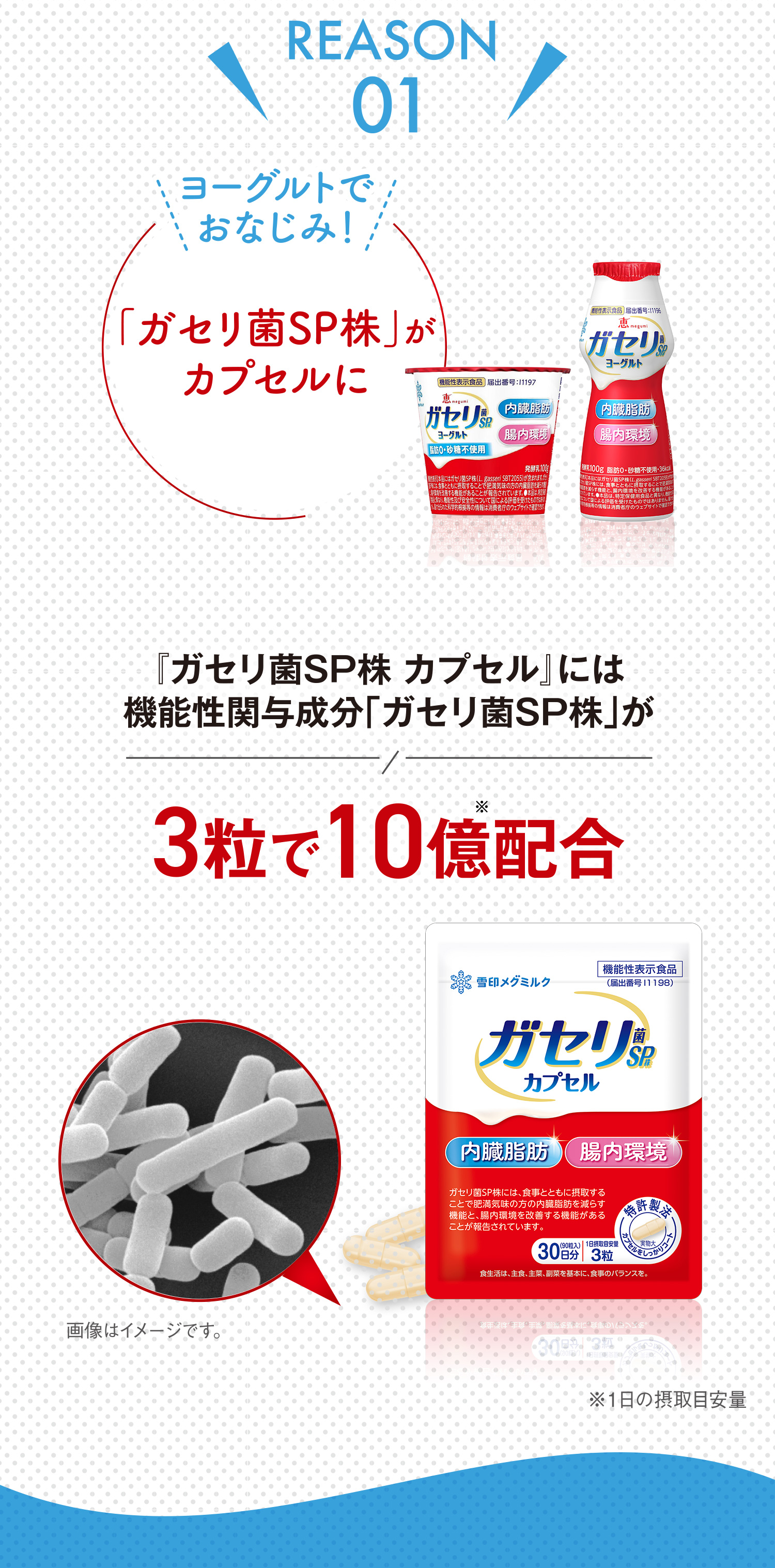ヨーグルトでおなじみ！「ガセリ菌SP株」がカプセルに