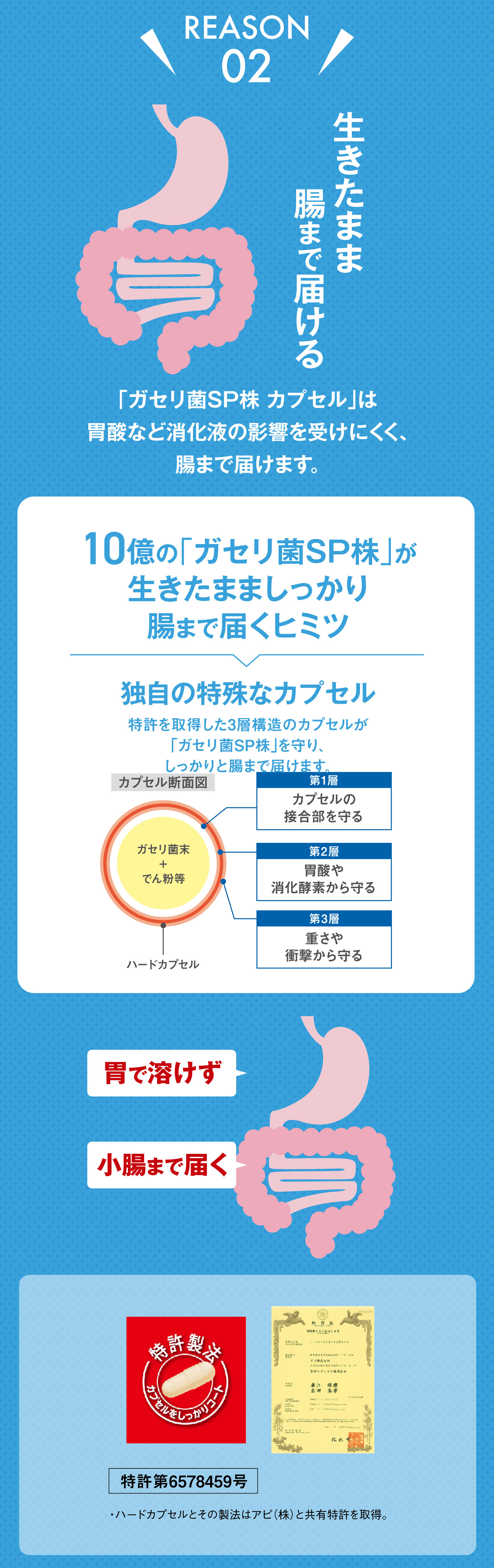 「ガセリ菌SP株 カプセル」は胃酸など消化液の影響を受けにくく、腸まで届けます。