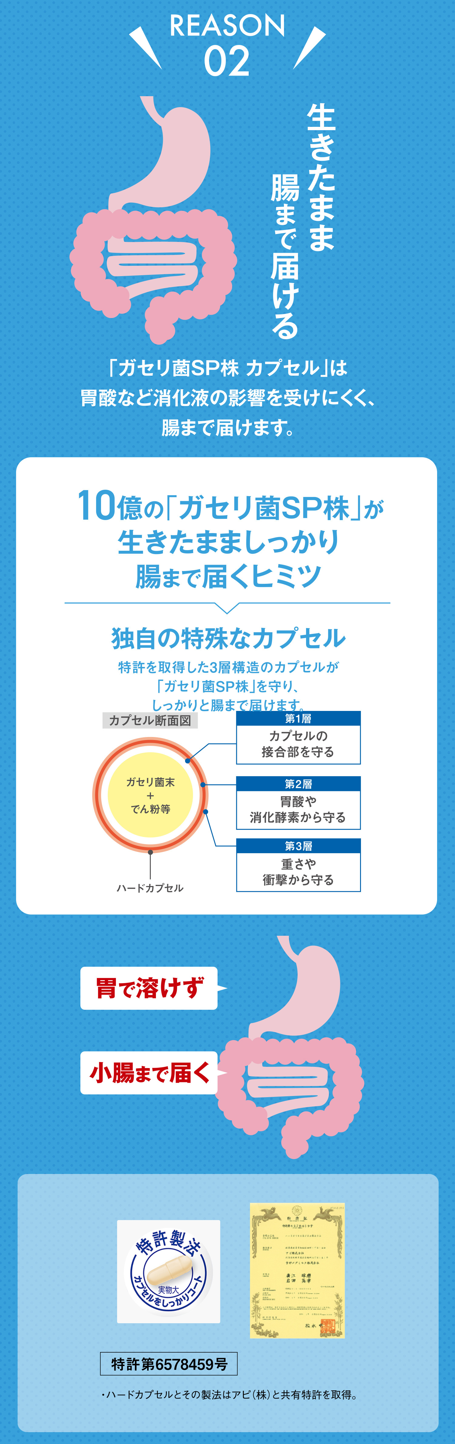 「ガセリ菌SP株 カプセル」は胃酸など消化液の影響を受けにくく、腸まで届けます。