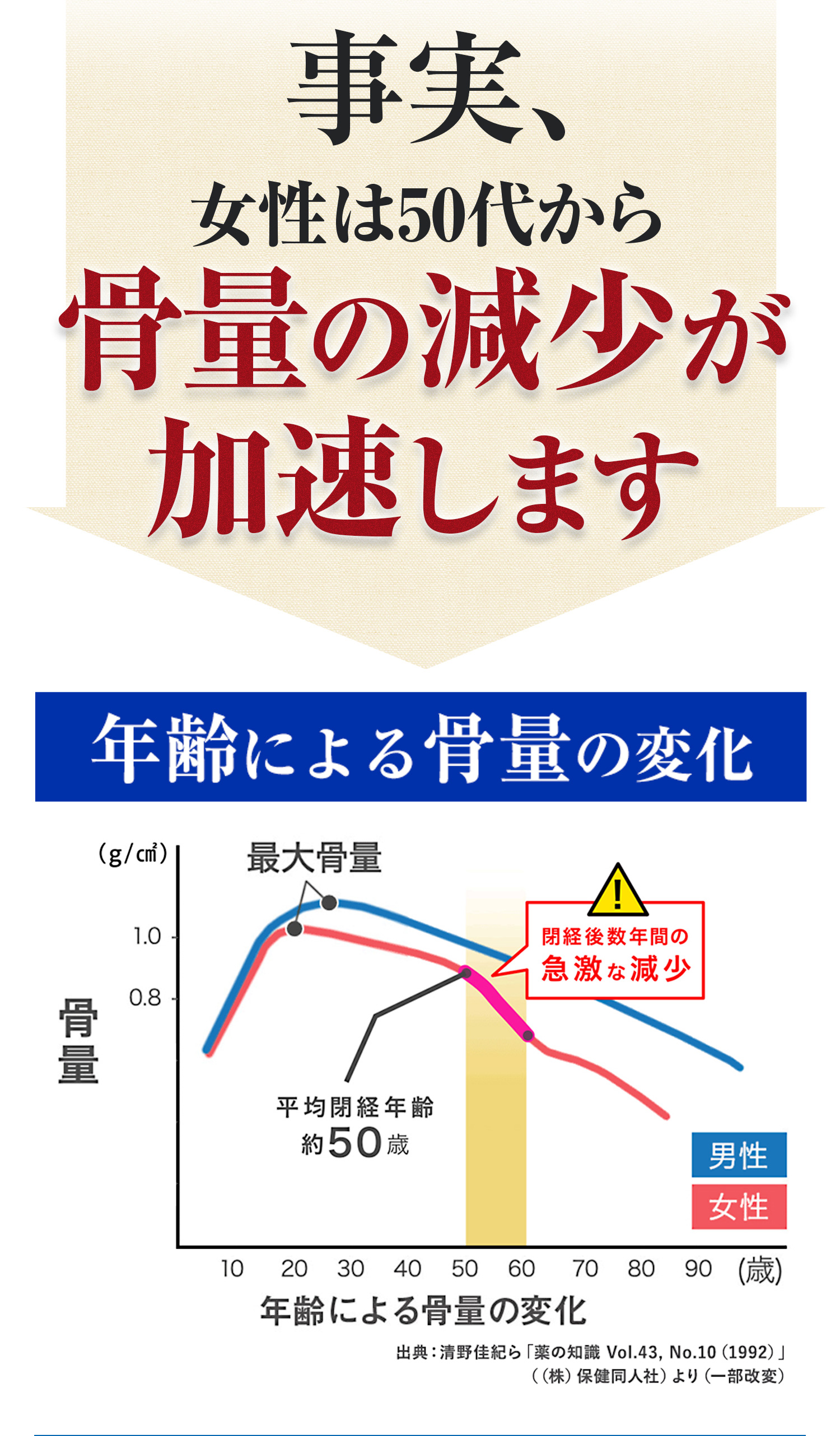 事実、女性は50代から骨量の減少が加速します。年齢による骨量の変化