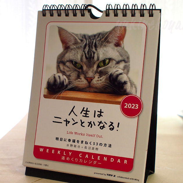 新しく着き Seasonal Wrap入荷 ２０２３年 猫のカレンダー 人生はニャンとかなる 週めくり 卓上 壁掛け兼用 文房具 ステーショナリー 猫雑貨 ネコグッズ ねこ キャット utubyo.11joho.biz utubyo.11joho.biz