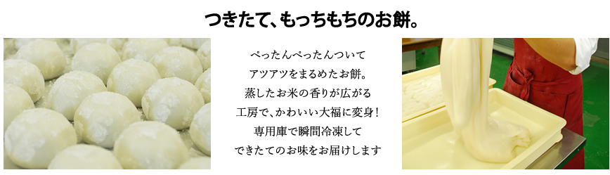 生クリーム大福：うさぎのしっぽ ショコラ餅（8個入） : お茶の