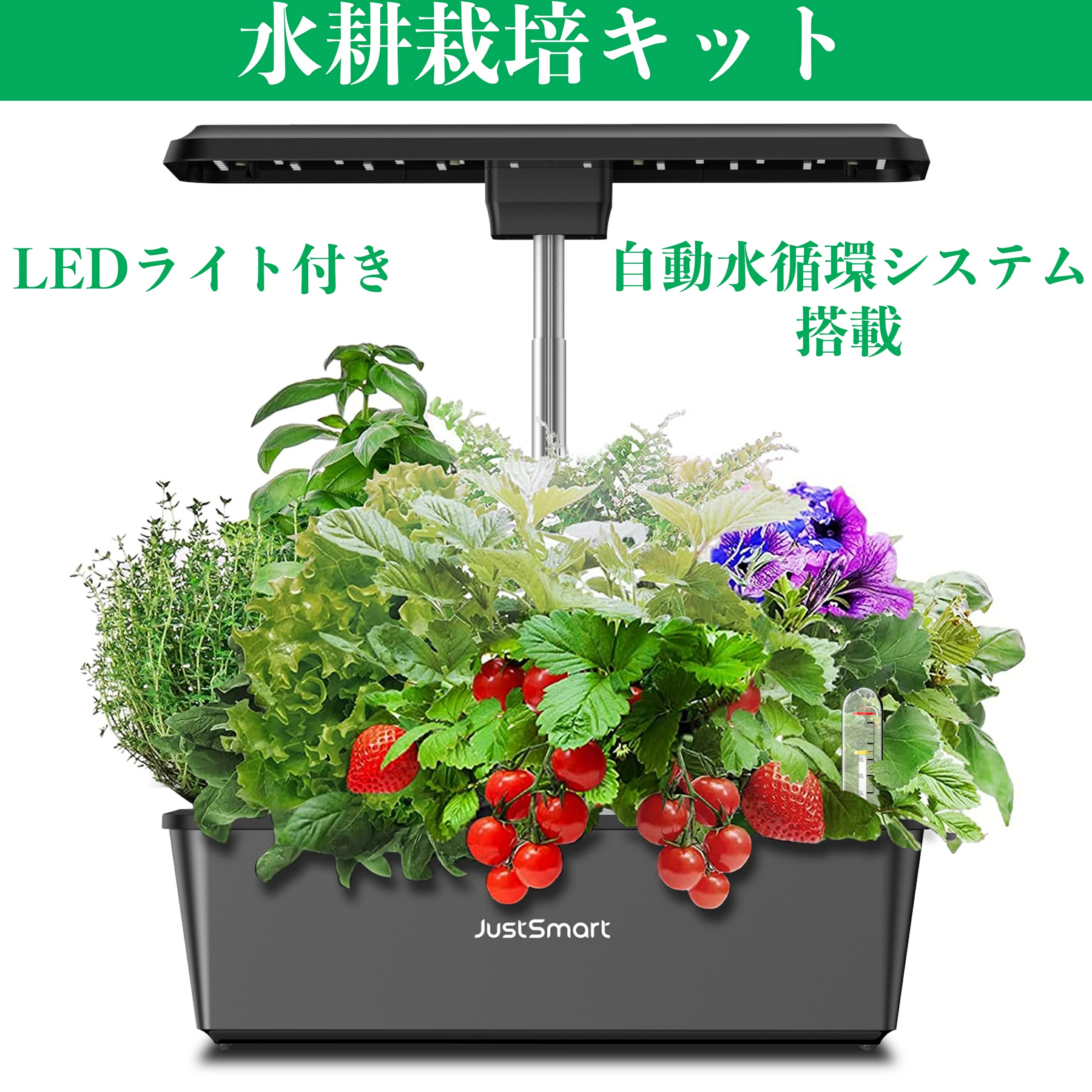 水耕栽培キット 室内 水耕栽培 おしゃれ 家庭菜園 キット LEDライト
