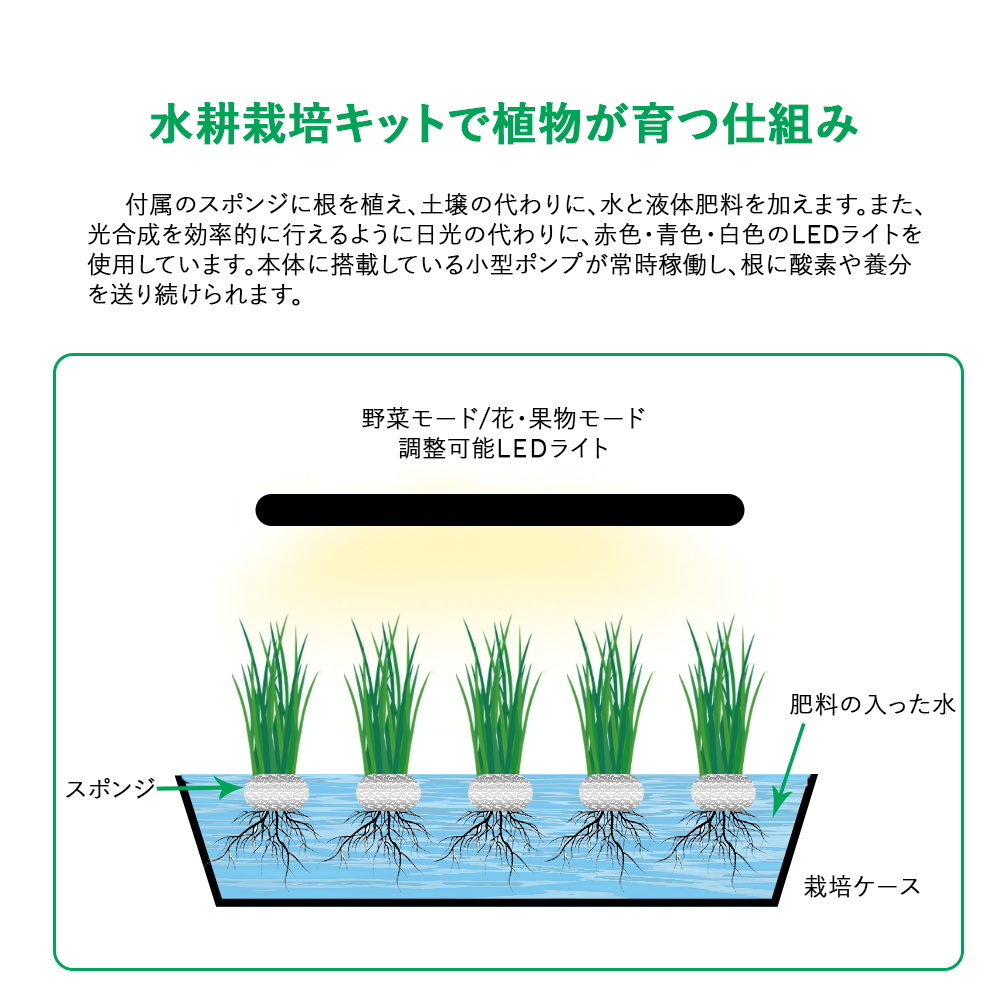 JustSmart 水耕栽培キット 太陽に左右されず育てられる 家庭菜園に憧れる 野菜 花 果物 ハーブ ベランダの日当たり良くない