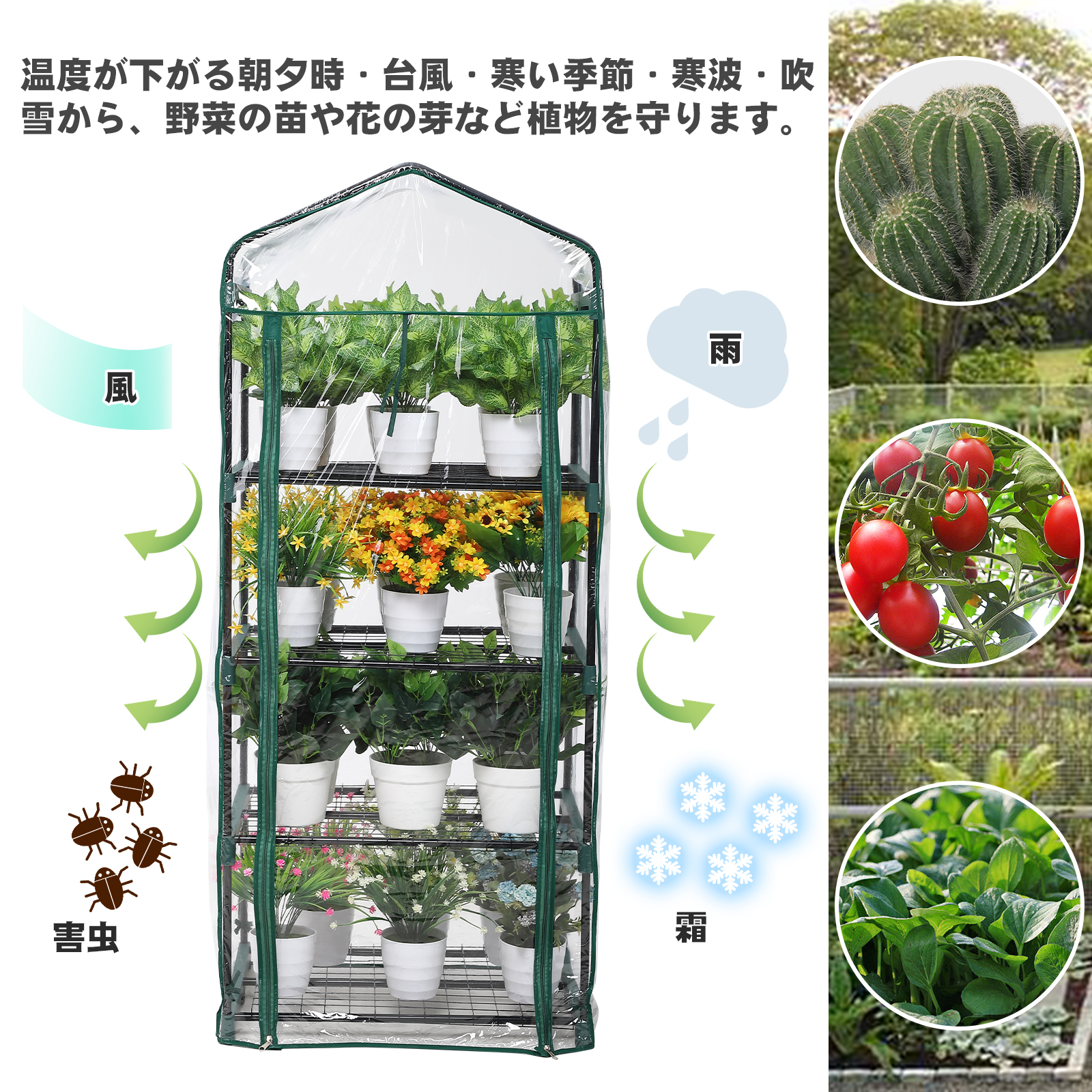 防雨防寒 害虫鳥防止 温室 ガーデン温室 植物 花