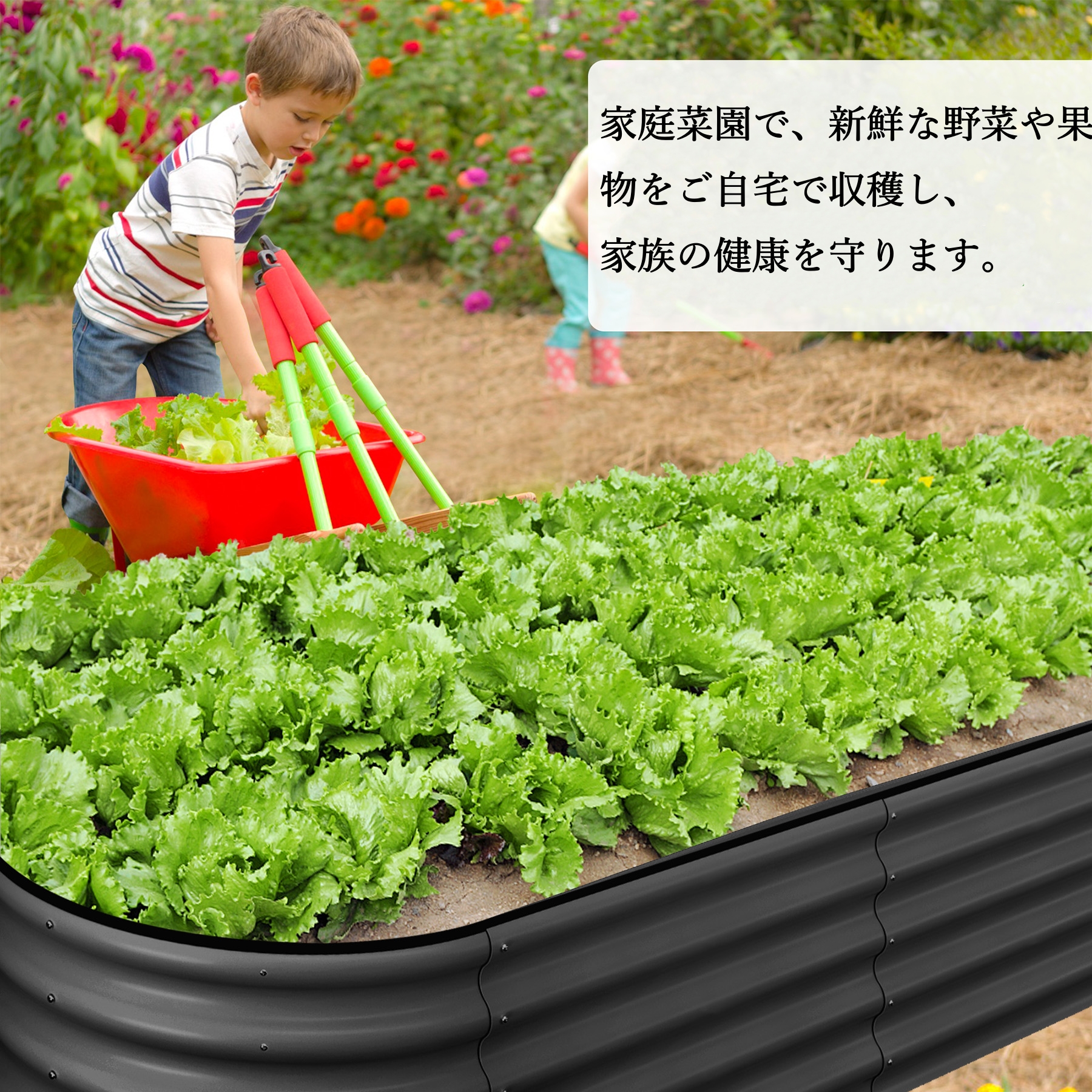 ガーデンベッド レイズドベッド 家庭菜園 亜鉛メッキ 金属製 屋外 工具