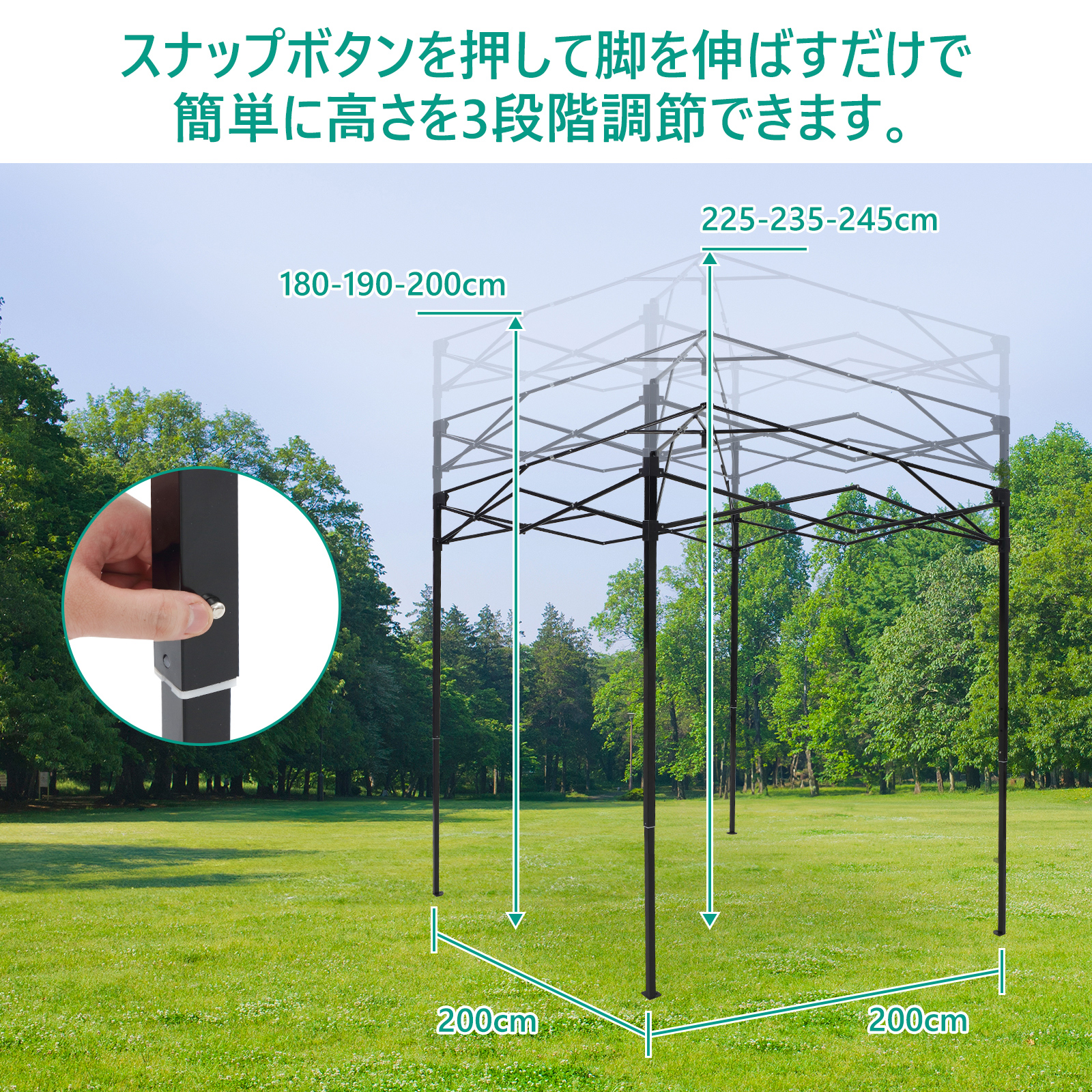 限定クーポン ビニールハウス 大型 2M 折りたたみ式 ガーデンハウス