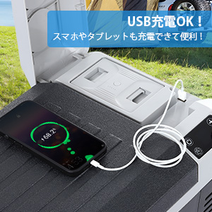 車載冷蔵庫 20L ポータブル冷蔵庫 バッテリー内蔵可能 DC12V/24V