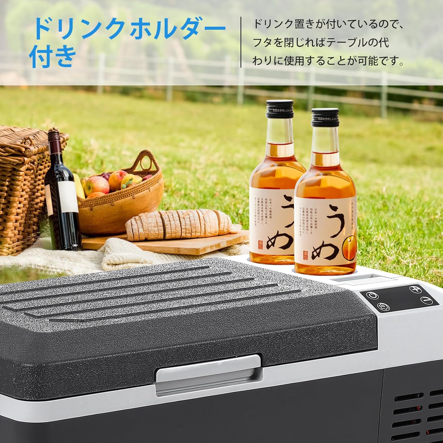 車載冷蔵庫 20L ポータブル冷蔵庫 バッテリー内蔵可能 DC12V/24V