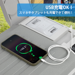 車載冷蔵庫 20L ポータブル冷蔵庫 バッテリー内蔵可能 DC12V/24V