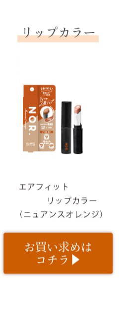 エアフィットクリームアイシャドウライズオレンジ