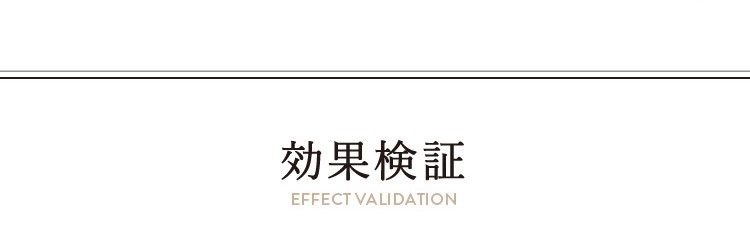 効果検証