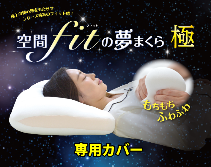 空間fitの夢まくら 極 専用カバー 2枚セット 送料無料 替え 丸洗い