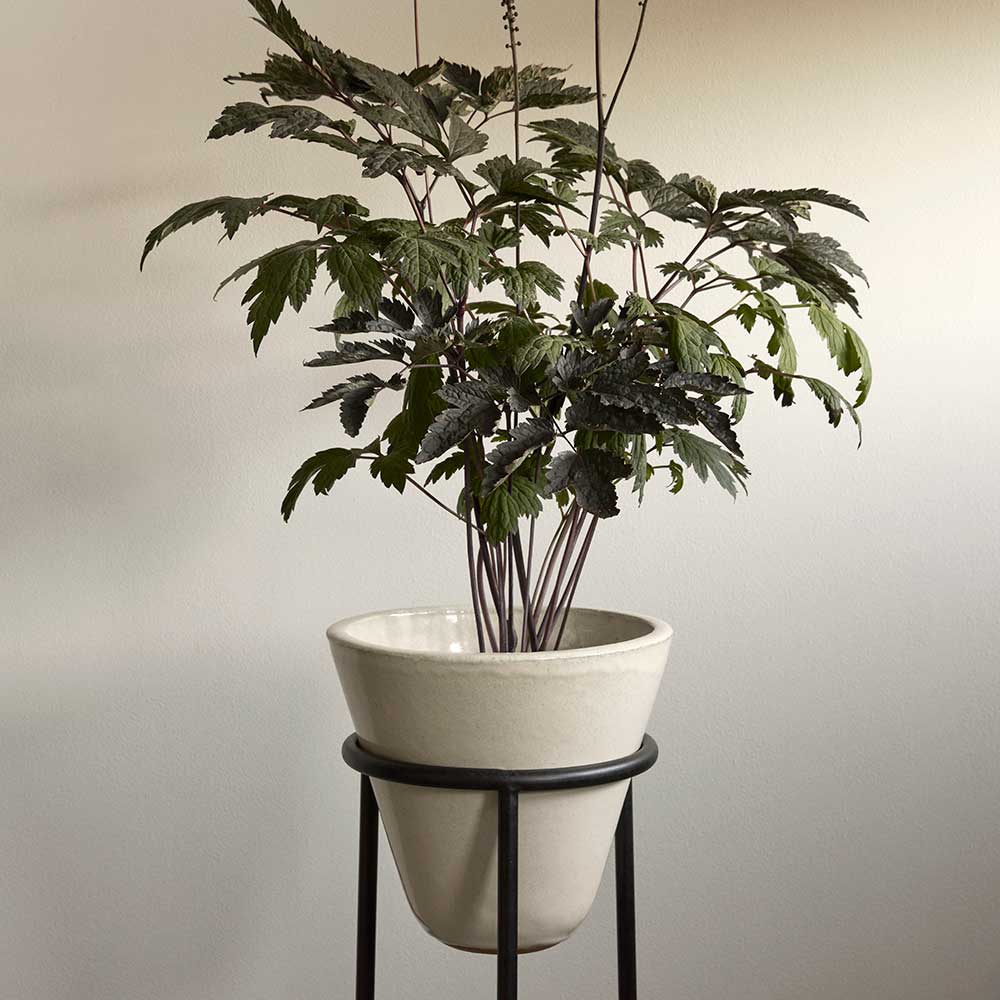ダイザ プランター H65/?25 アイボリー  正規輸入品 北欧 インテリア 高級 Audo オドー  通販 植木鉢 花台 セット 室内 観葉植物の画像