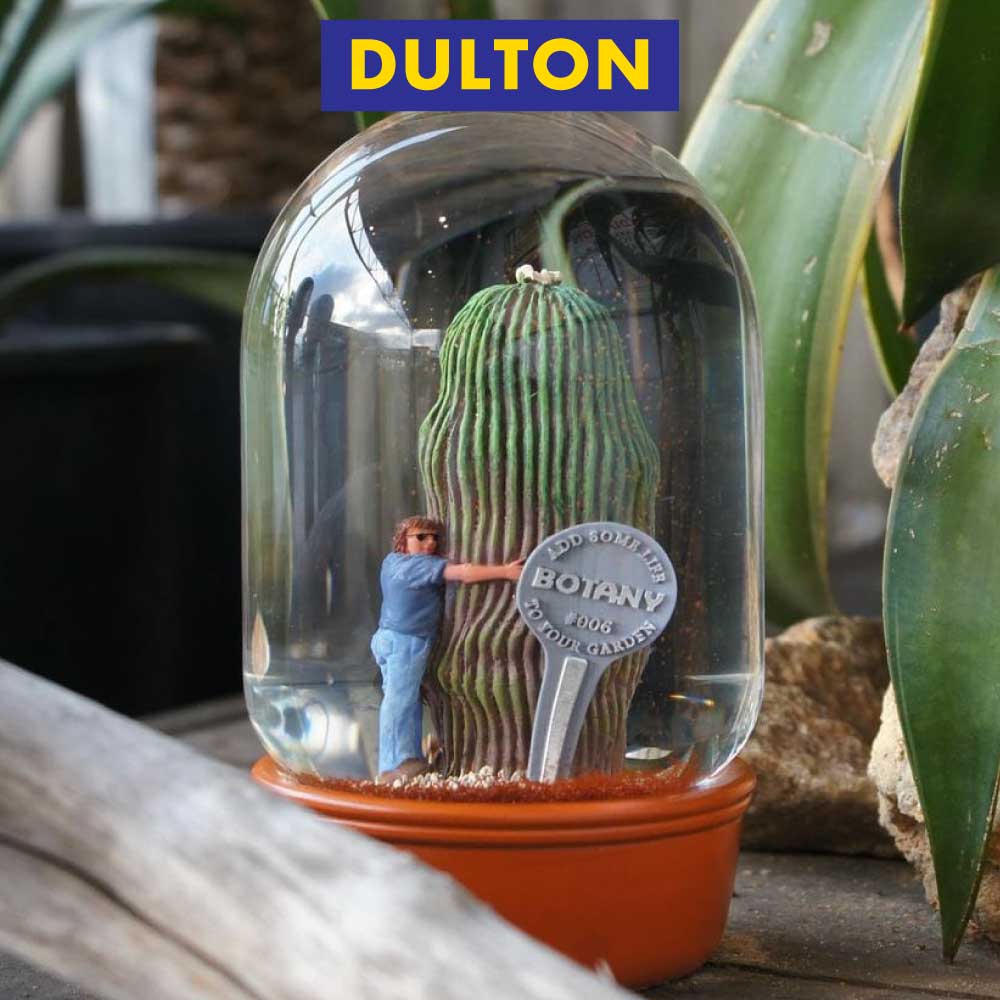 �_���g�� �v�����c �E�H�[�^�[ �O���[�u �J�N�^�X �E�B�Y ����PLANTS WATER GLOBE CACTUS WITH MAN dulton �A