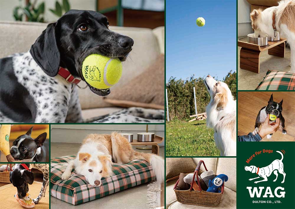 DULTON（ダルトン） 犬用テニスボール 3個セット 小型犬向け おもちゃ