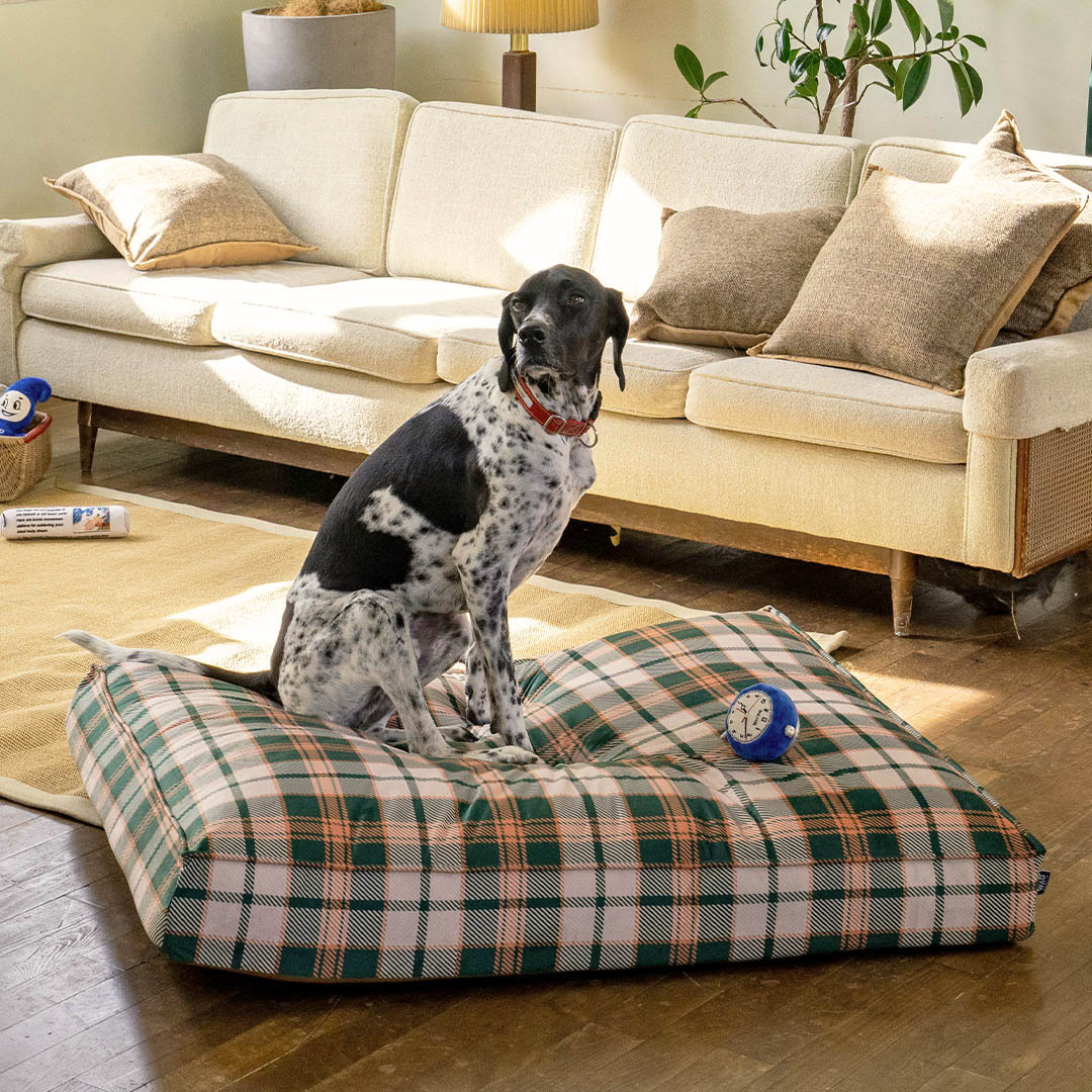 DULTON（ダルトン） 犬 ベッド おしゃれ 推奨体重 27-41kg 大型犬 洗濯 