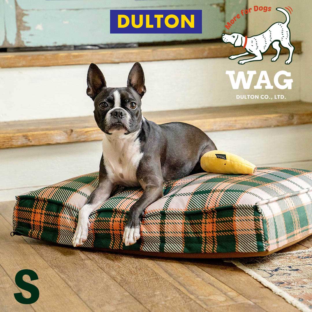 ȥ  ٥å 졡侩ν  11kgʲCHECK DOG BED S dulton ꥫ󻨲  ͵ ȥߥåɥ꡼