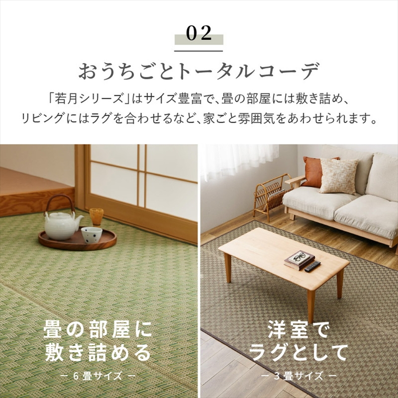 市松柄　い草カーペット　若月　江戸間6畳 261×352_4