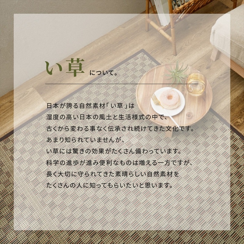 市松柄　い草カーペット　若月　江戸間6畳 261×352_6