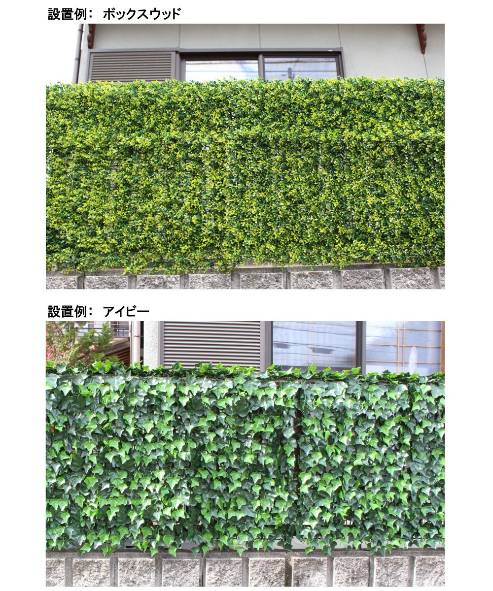 リアルグリーンフェンス 約1m×1m 緑のカーテン 目隠し ベランダ