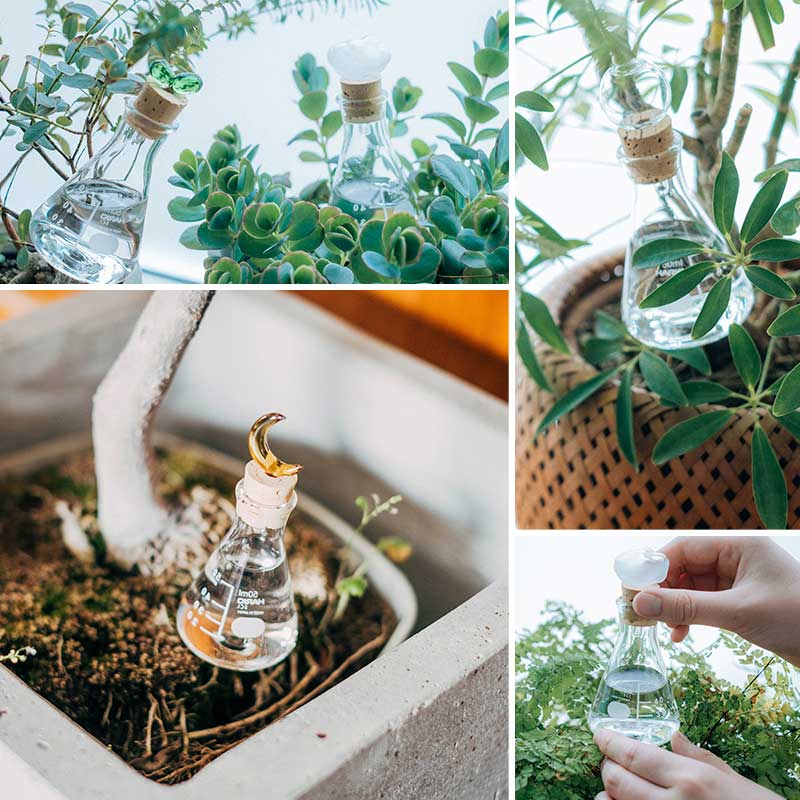 HARIO RELAXING プランター用バブル水やり器 50ml【植物の水やりを楽に