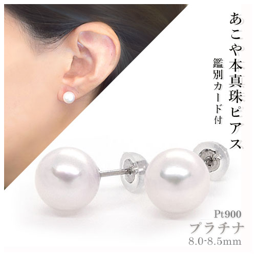 ピアス パール アコヤ真珠 8.0mm〜8.5mm キャッチ レディース プラチナ