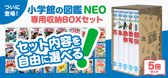 選べる 小学館の図鑑NEO 専用BOX付5冊セット 25種類から選べます