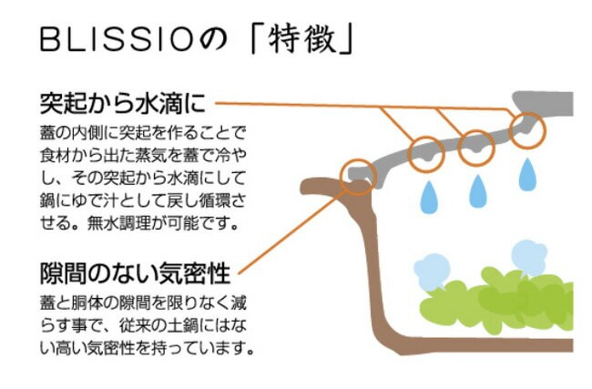 送料無料】BLISSIO（ブリシオ）ブリシオ24cmキャセロール : 夢陶房 