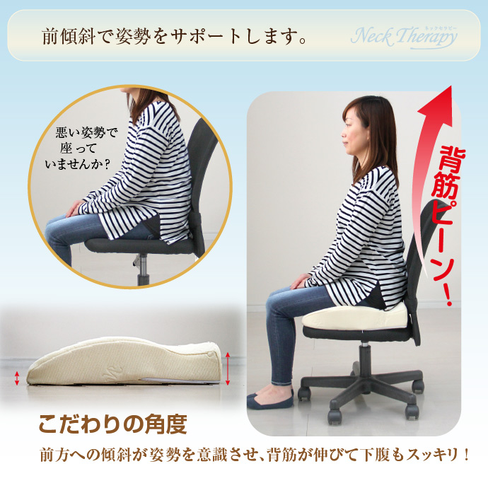 クッション 整体師が勧める お尻にフィット 41×41cm 低反発素材