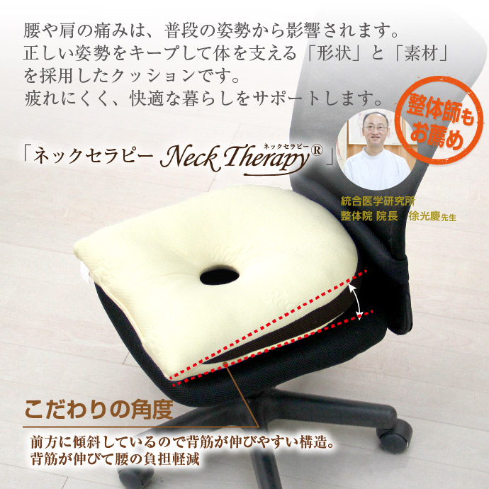 クッション 整体師が勧める 背筋キープ 37×40cm 低反発ウレタンチップ