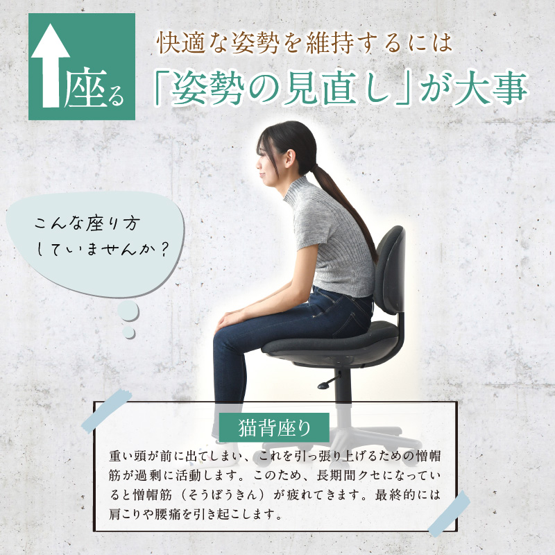 ✨美品✨構造医学研究財団 体圧反応座板 姿勢を良くする座布団 専用カバー付き ✨美品✨構造医学研究財団 体圧反応座板 姿勢を良く