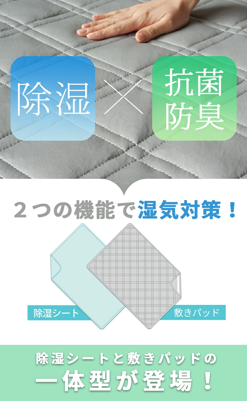 神野正保画伯 白亜会会員 大山雪河原 油彩画 油絵 優しい絵画