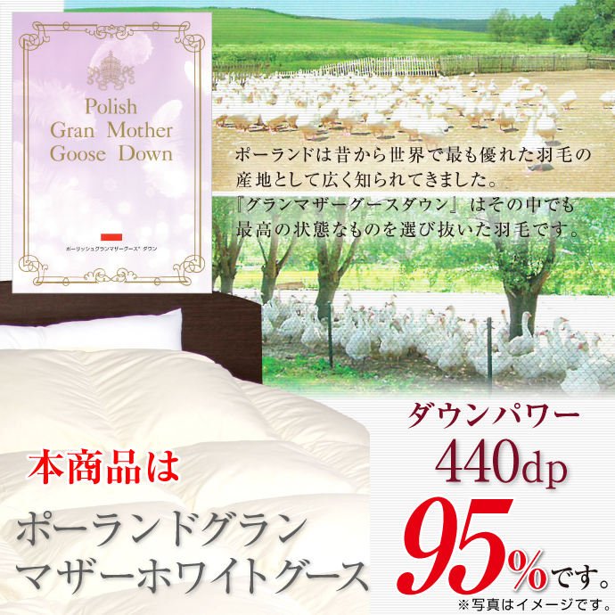 umou_p440dp_g02.jpg
