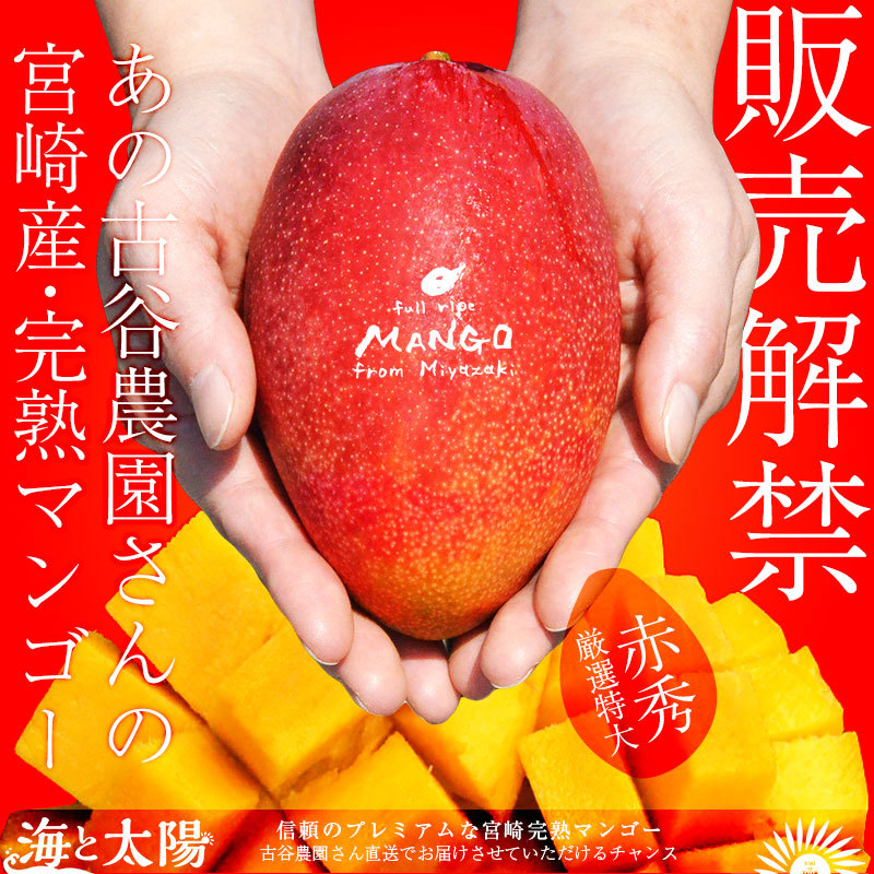 m-mango-aka01.jpg