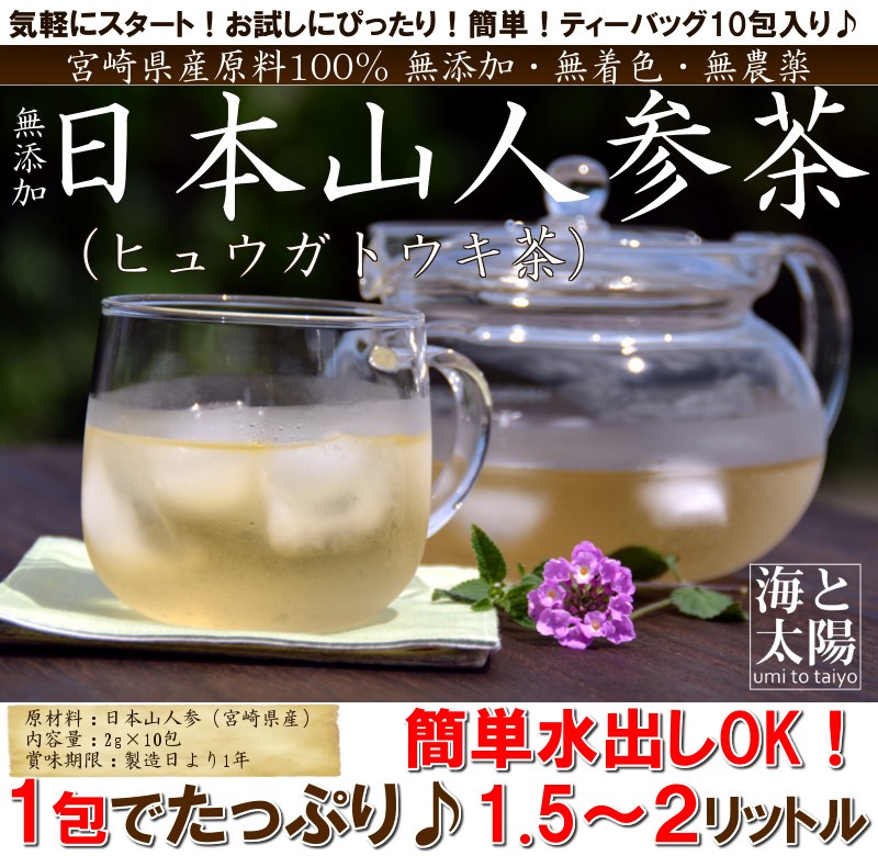 日本山人参茶×10包＞ ヒュウガトウキ ティーバッグ - 健康茶