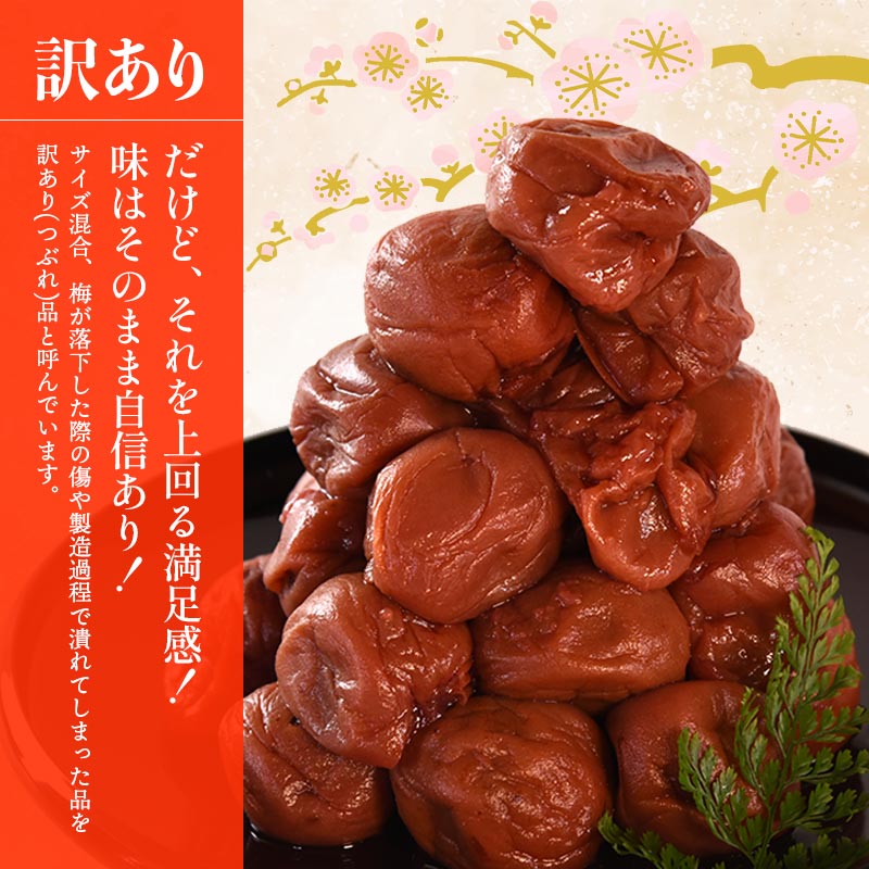 20%OFFクーポン対象／2種類から選べる ＜紀州南高梅つぶれ梅 2種