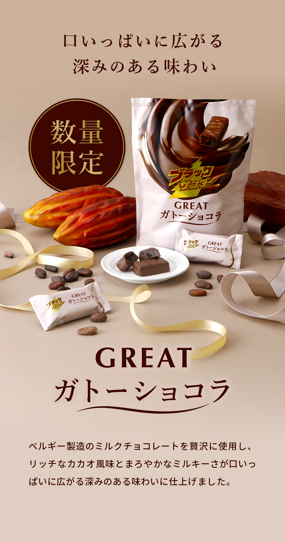 ブラックサンダー 数量限定 GREATガトーショコラ 個包装 チョコレート
